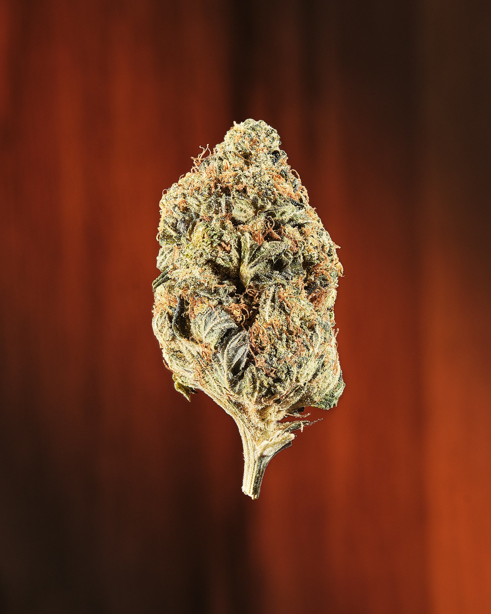 Cannabis Nug