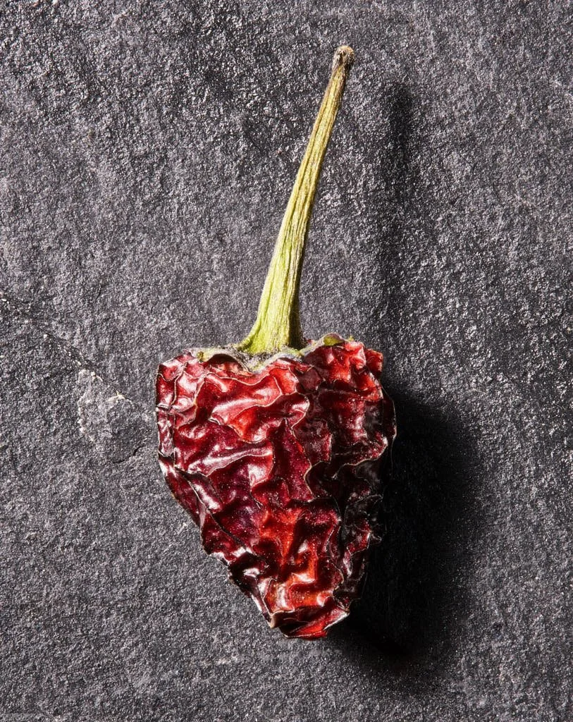 Dried Pepper Photography Victoria BC