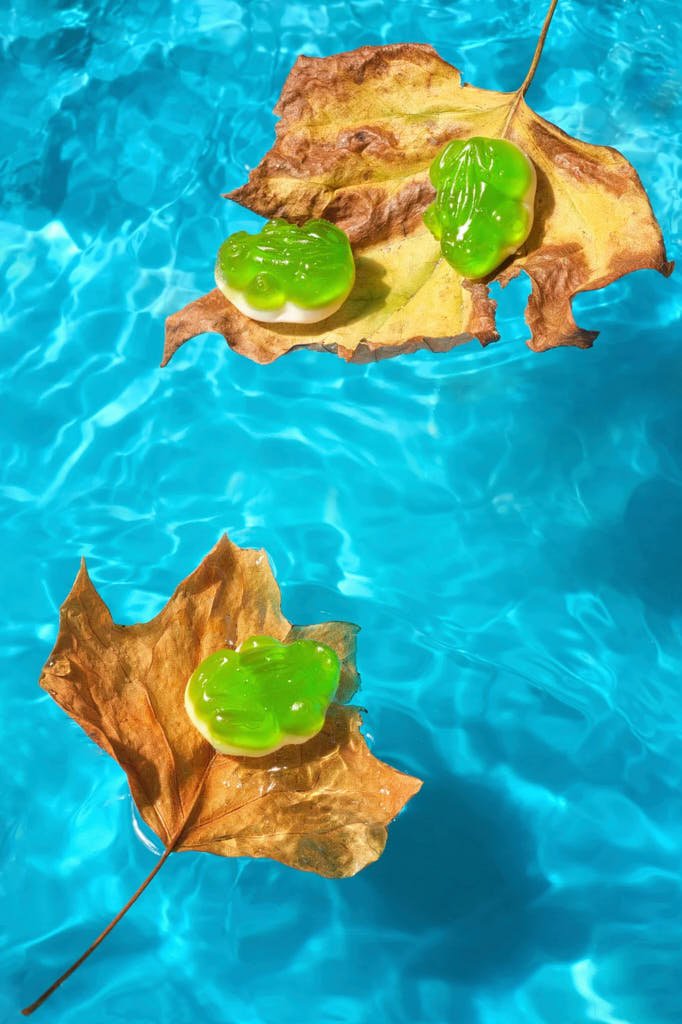 Gummy candy photography victoria bc