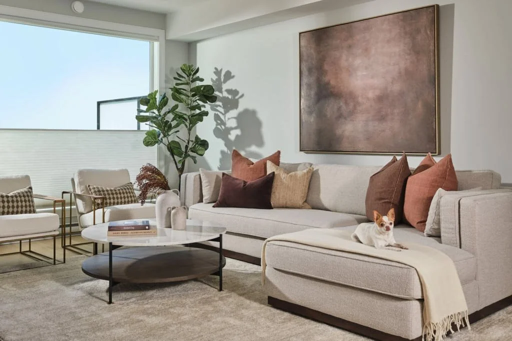 Living room for dogs