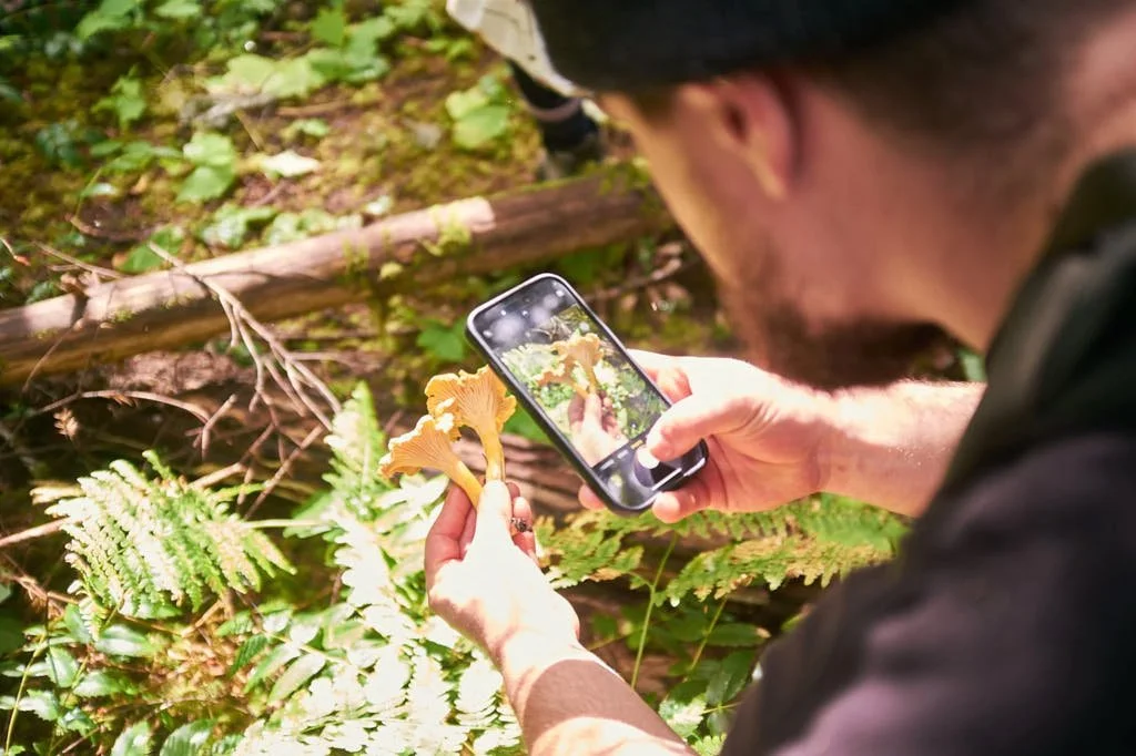 finding mushrooms in victoria bc.jpg