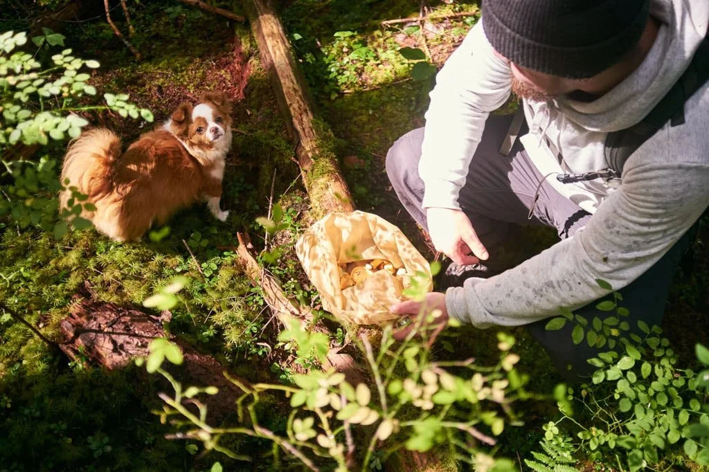 foraging with a dog in victoria bc.jpg