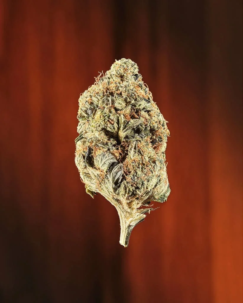 single flower victoria bc.jpg