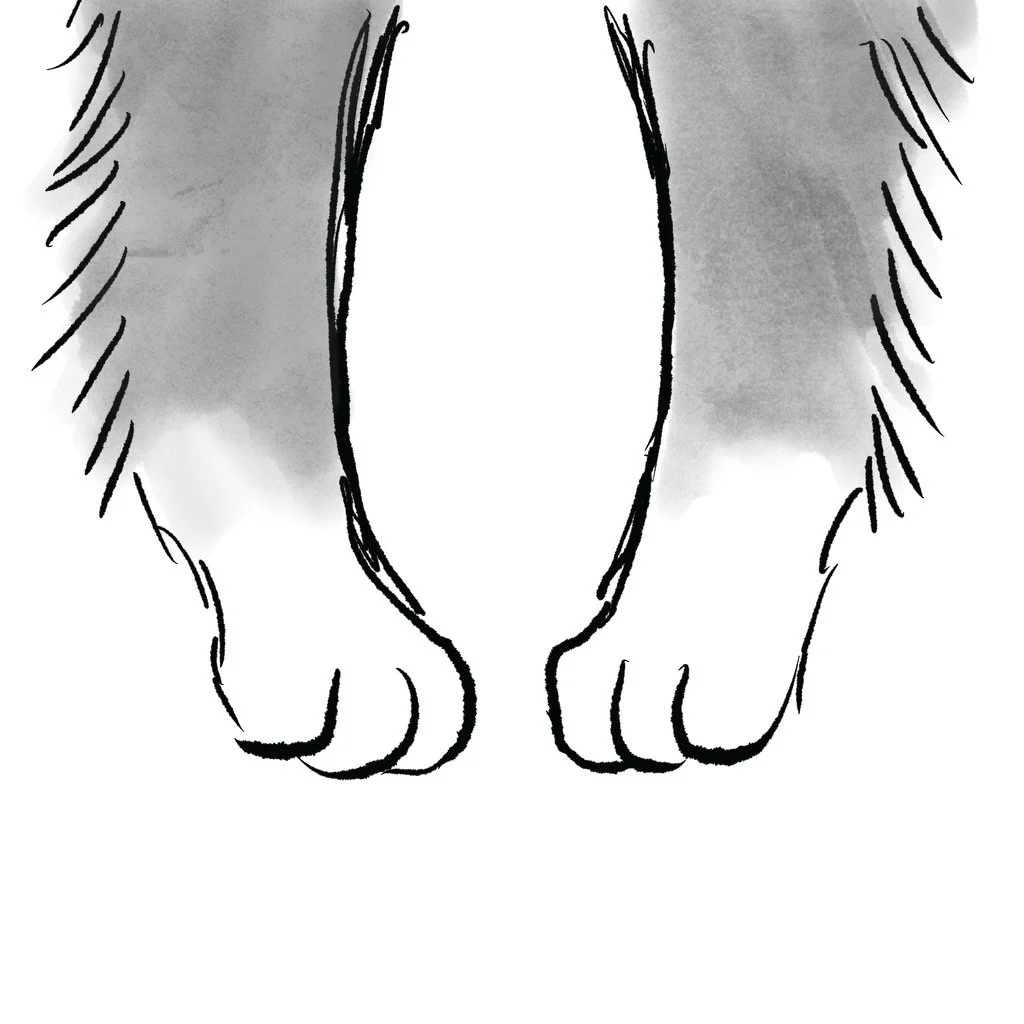 Moose_Feet.jpeg