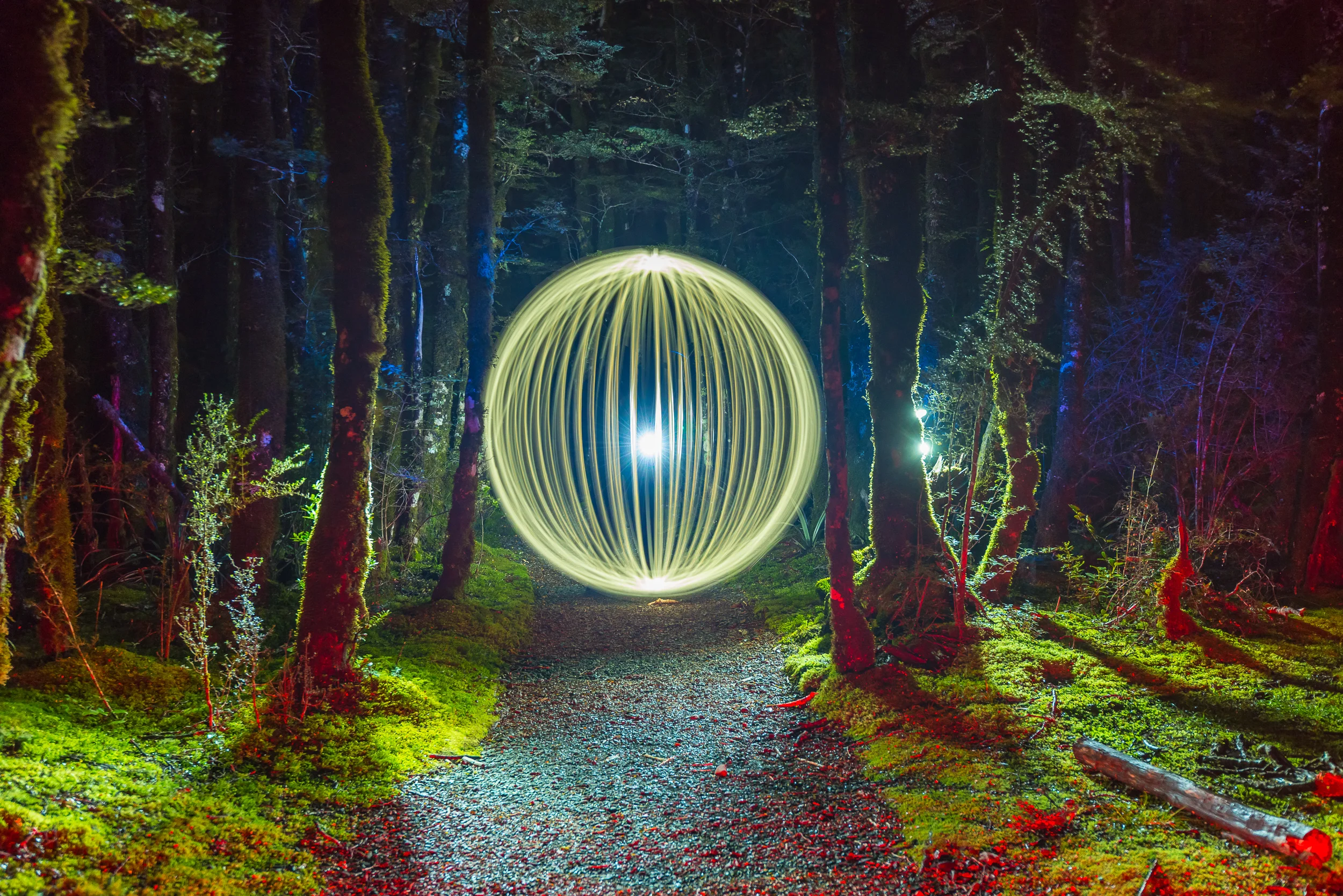  © Sean Liew. All rights reserved. 