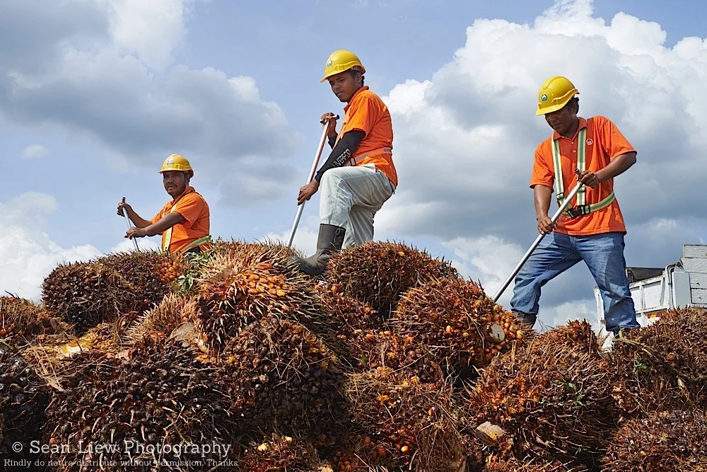 Hap Seng Lahad Datu 081 copy.jpg