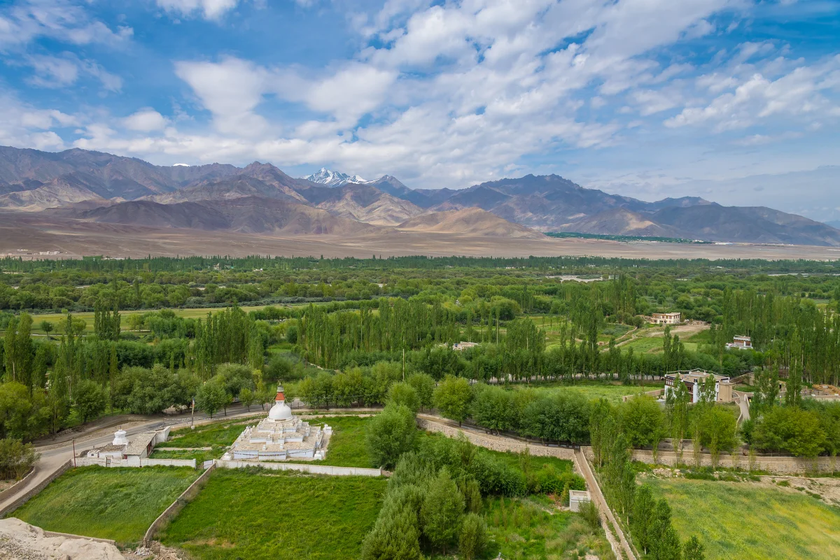 © Sean Liew. All rights reserved.