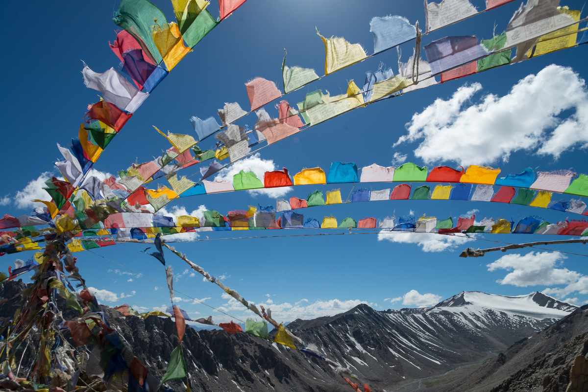 © Sean Liew. All rights reserved.