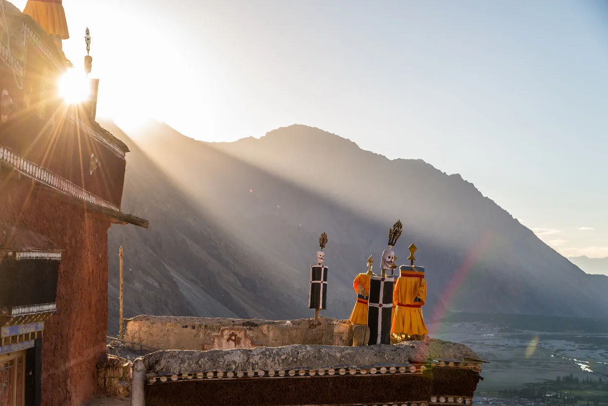 © Sean Liew. All rights reserved.