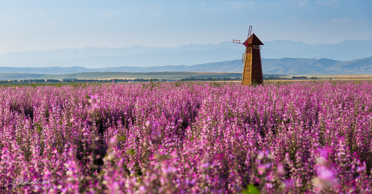 Xinjiang, China