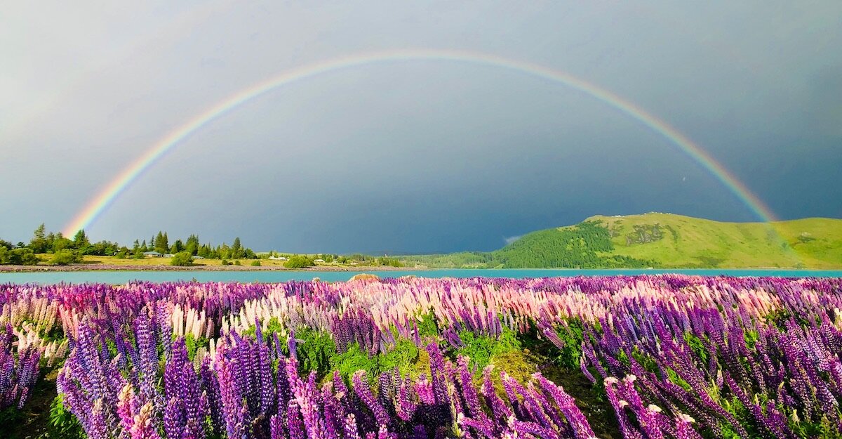 Lake Tekapo, NZ