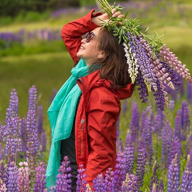 For the love of lupine - Ohau, New Zealand
#lupin #newzealand #summerishere #travel