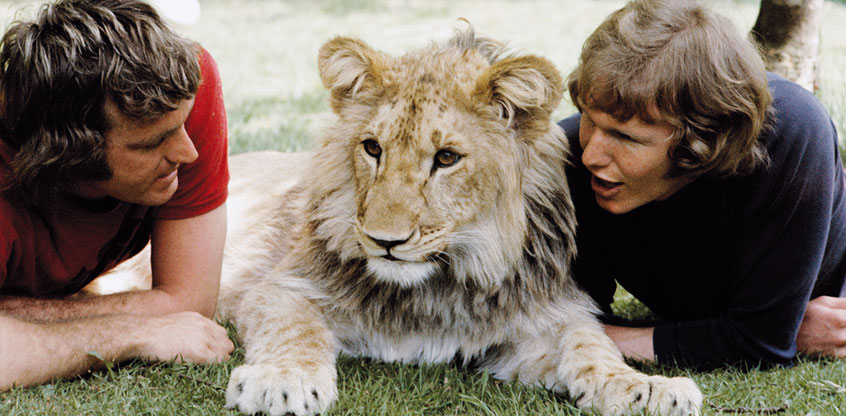 John Rendall, Christian the Lion and Ace Bourke in the 1970's.