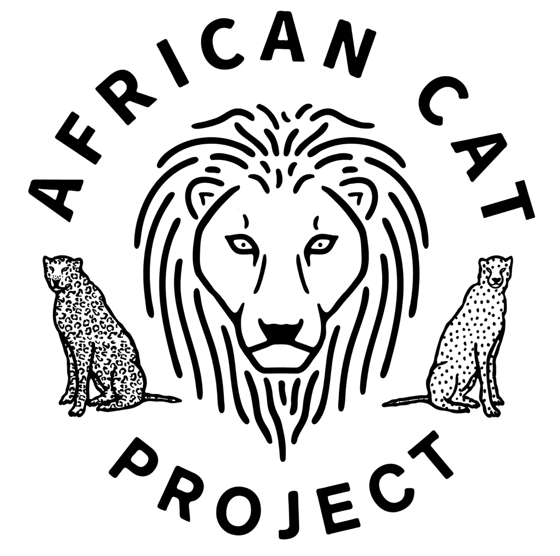 African Cat Project