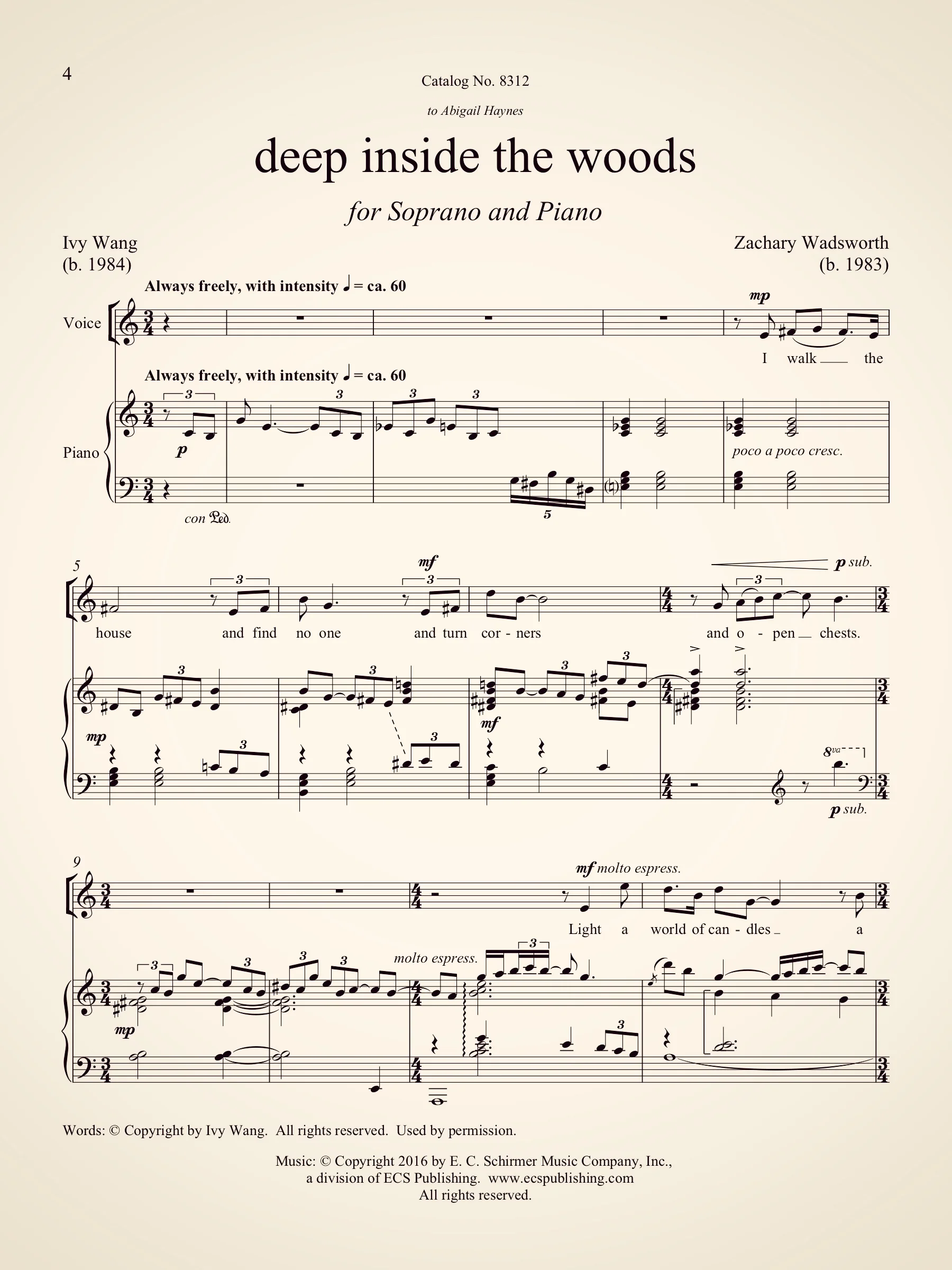 deep inside the woods 2.jpg