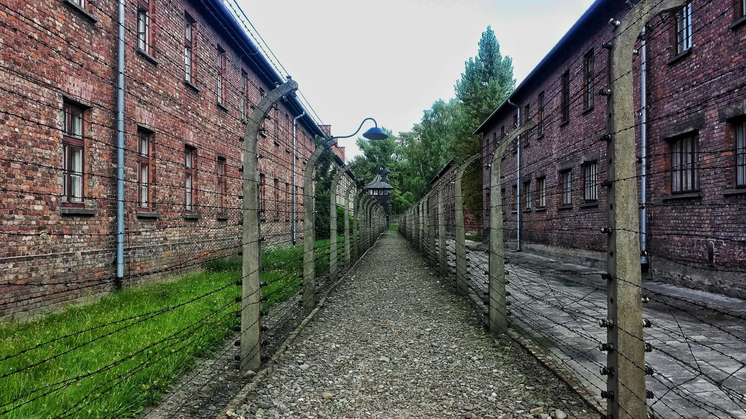 Jail compressed.jpg