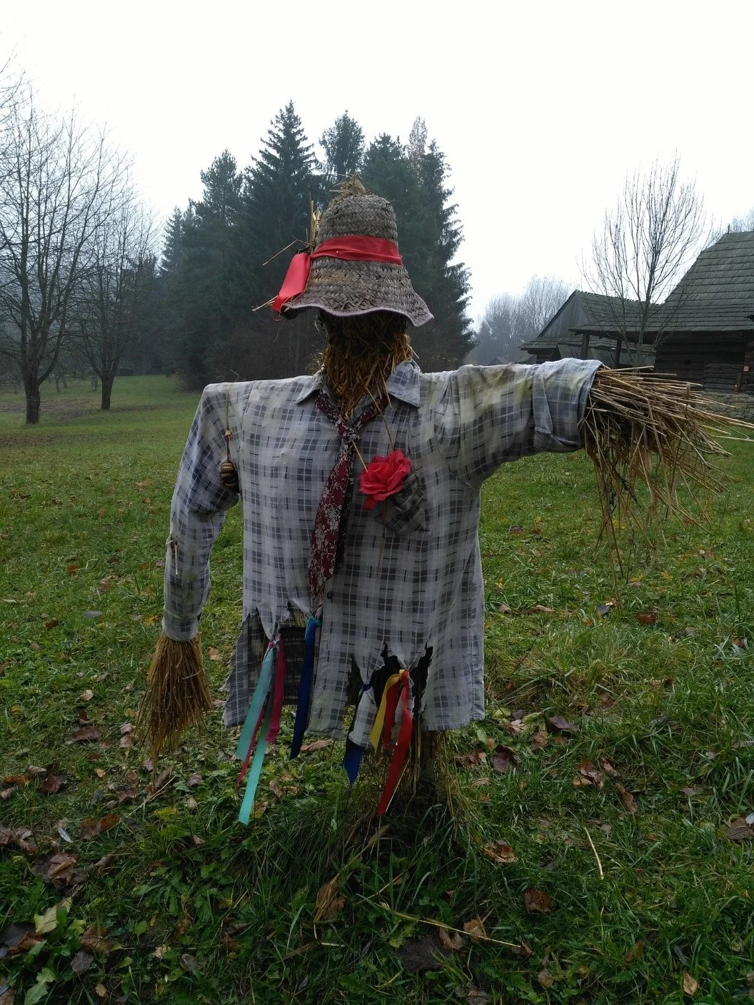scarecrow compressed.jpg