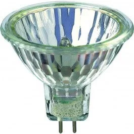 halogen lightbulb.jpg