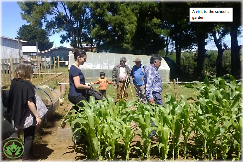 Jacqui Caine Visits a  School Garden.jpg