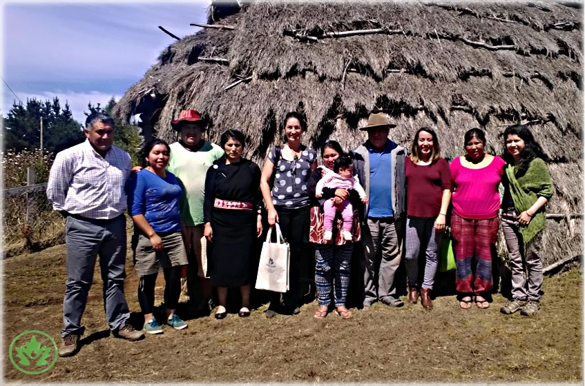 A First Step - The Mapuche of Chile and the Maori of New Zealand