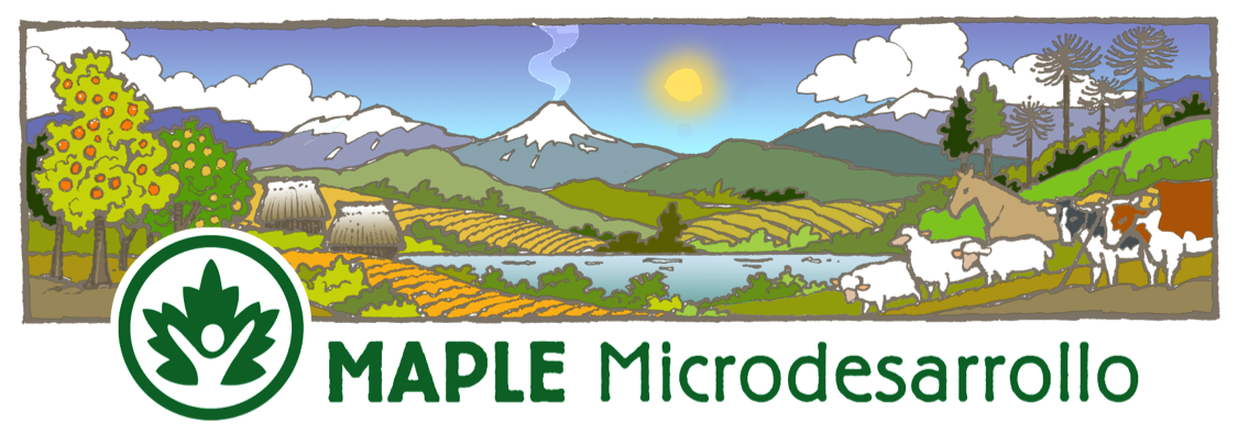 MAPLEMICRODESARROLLO.png