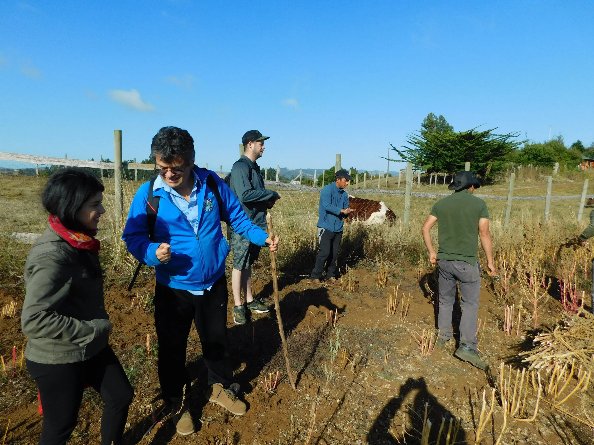 First Nations-to-Nations Building&nbsp;