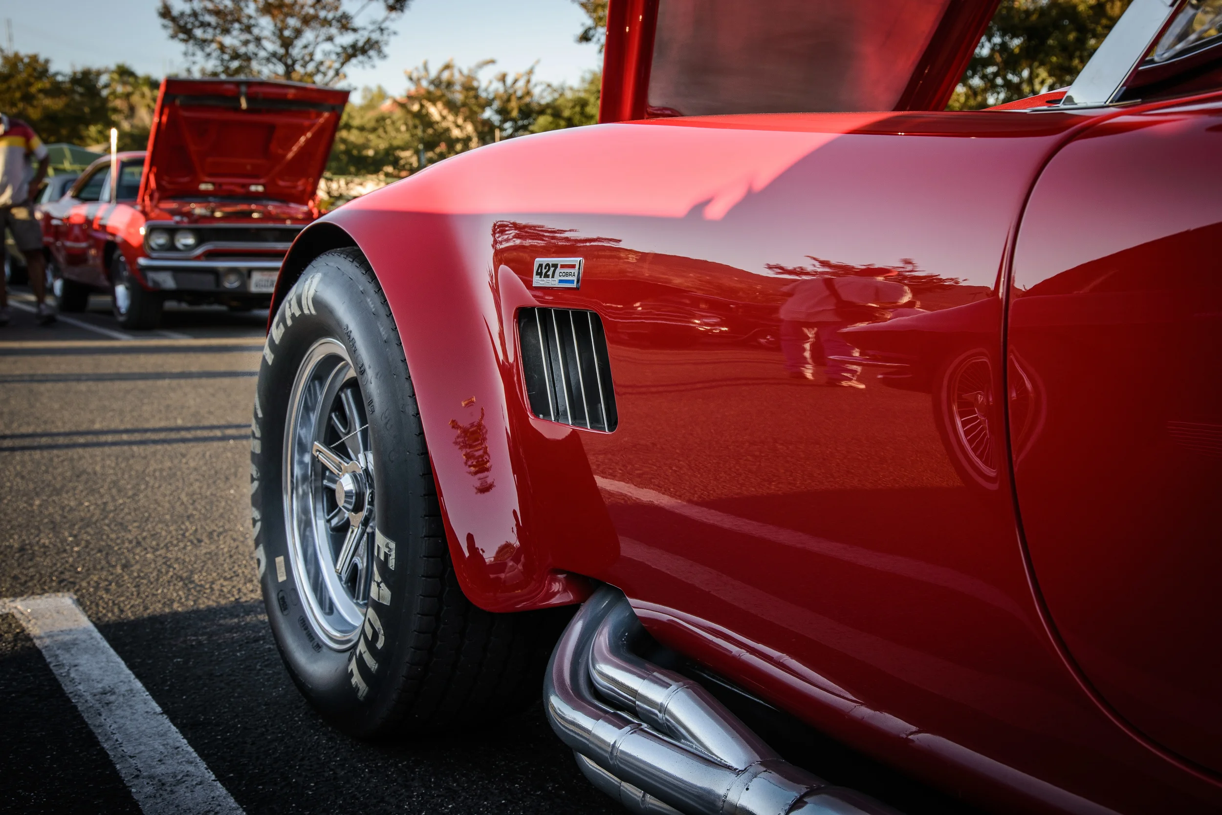 DSC_6365.jpg