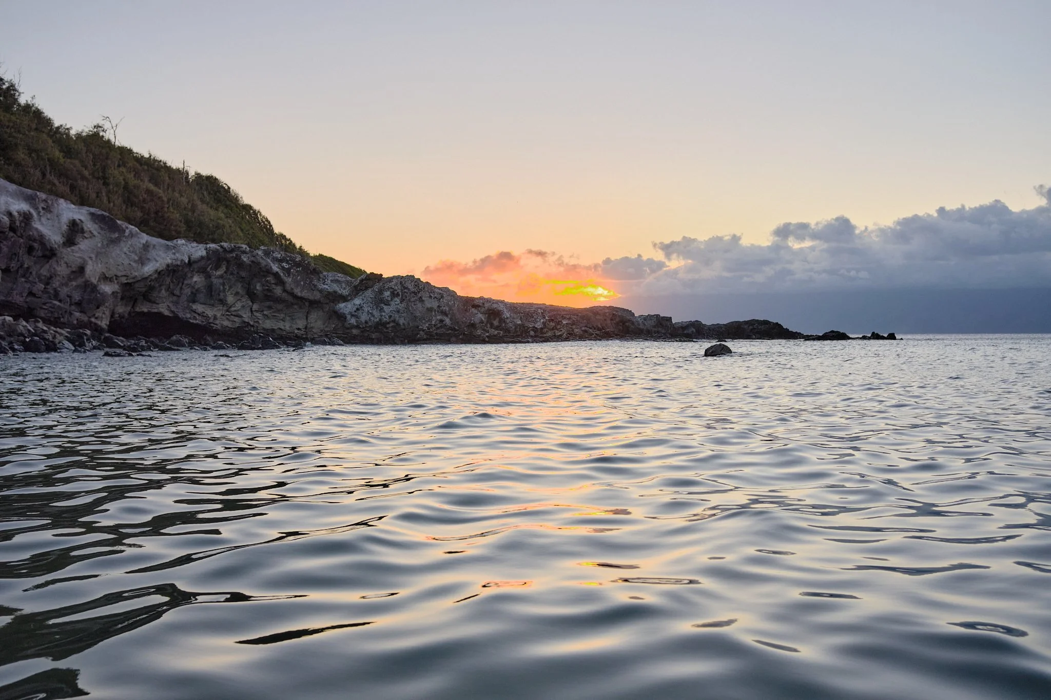 Maui_206.jpg
