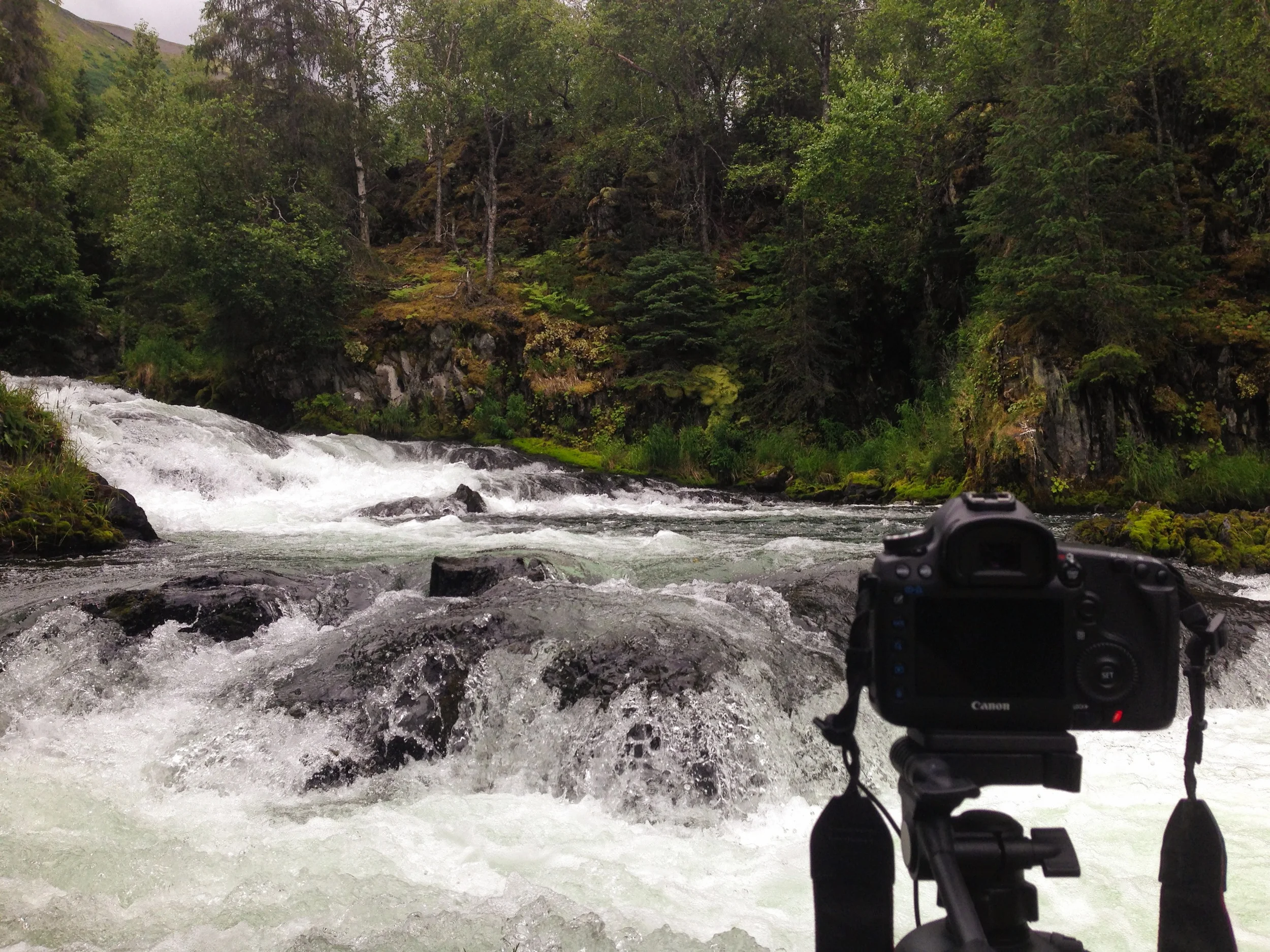 Tyler films spawning salmon on the Russian River while Brian looks for someone to ride the rapids with him on the tandem bike. 