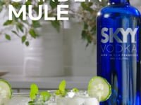 SKYY x SEASONS_15_T Garden Mule_9x16_11.19.2020