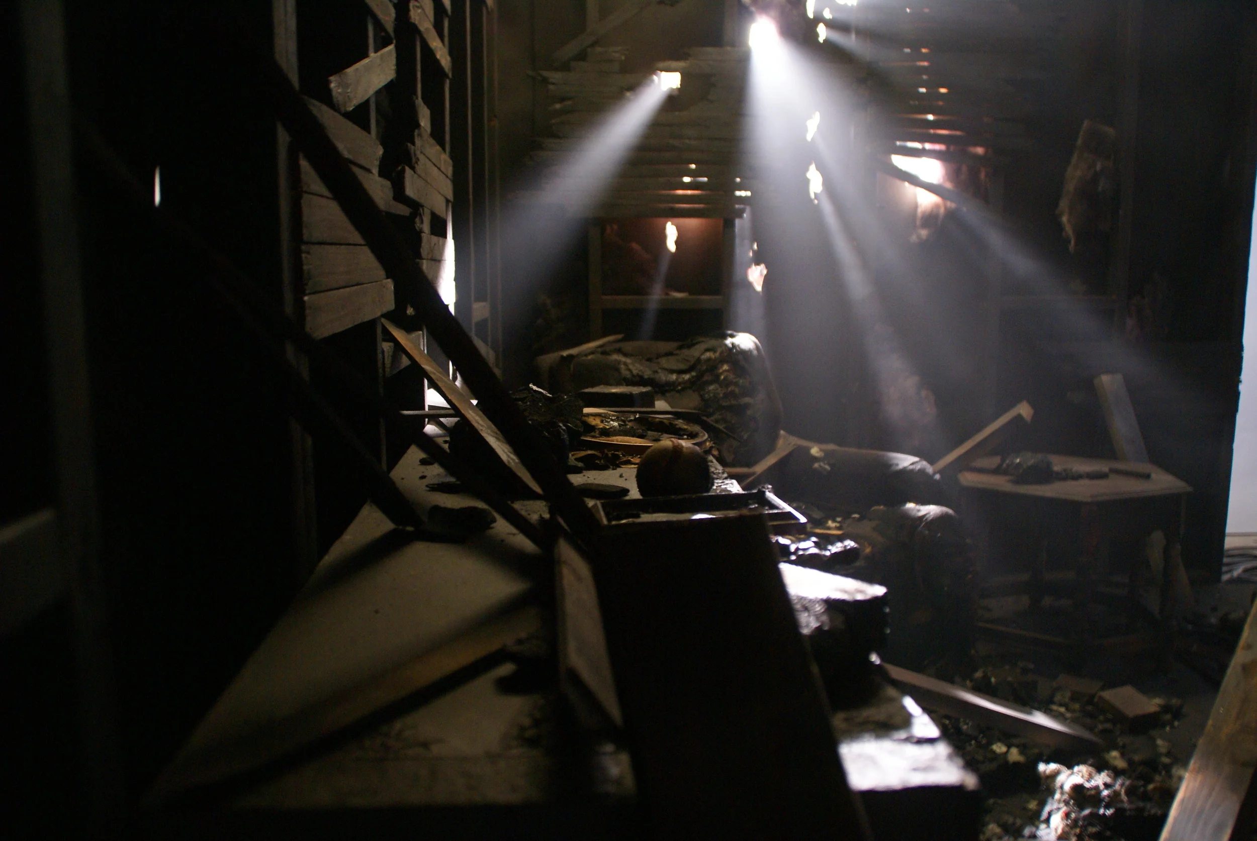 Murder in the Shadows