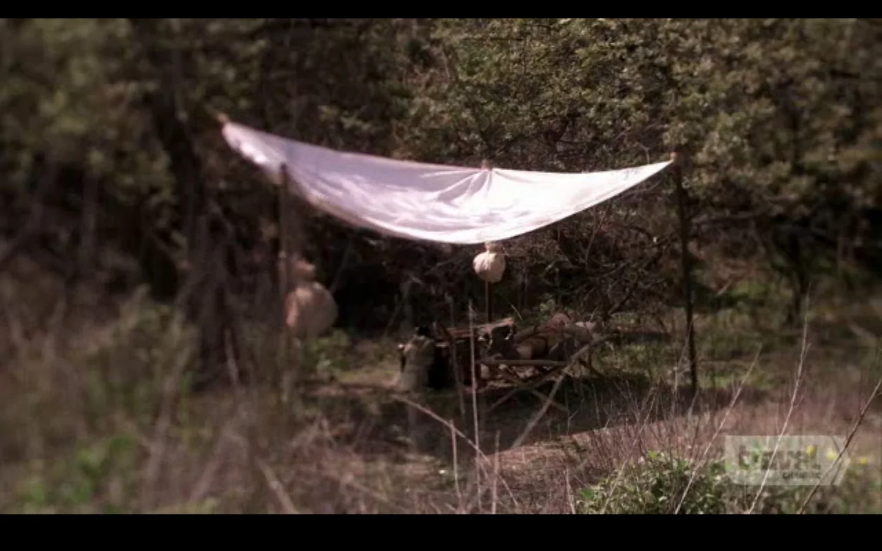 Expedition to Africa