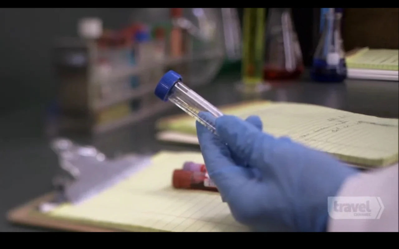 Swine Flu Program Halted