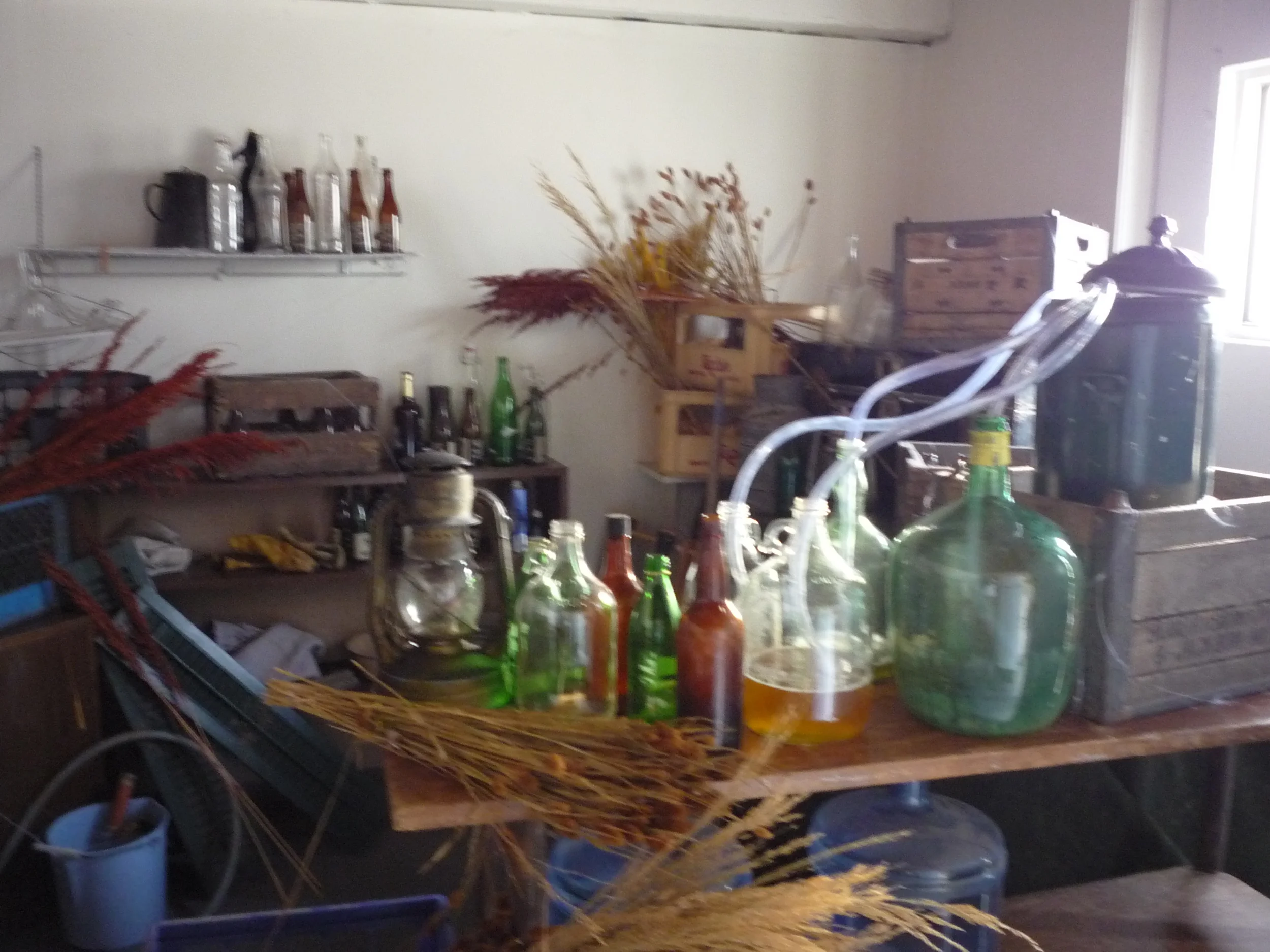 Apocalypse According to Doris