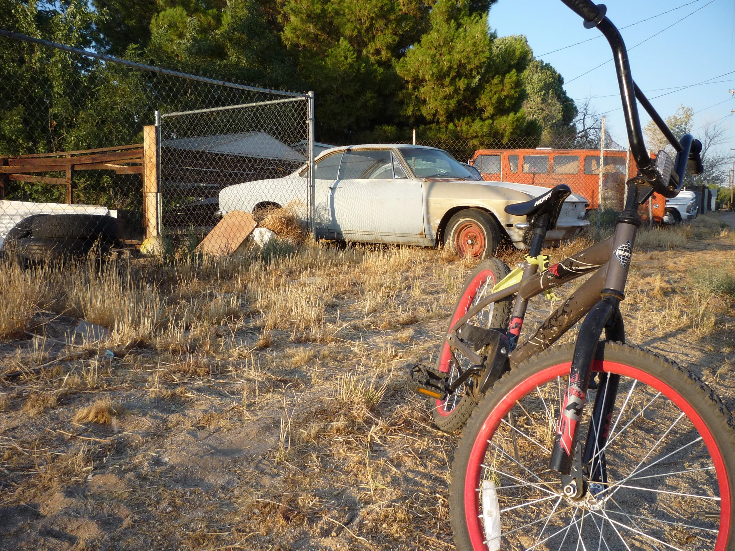 Apocalypse According to Doris