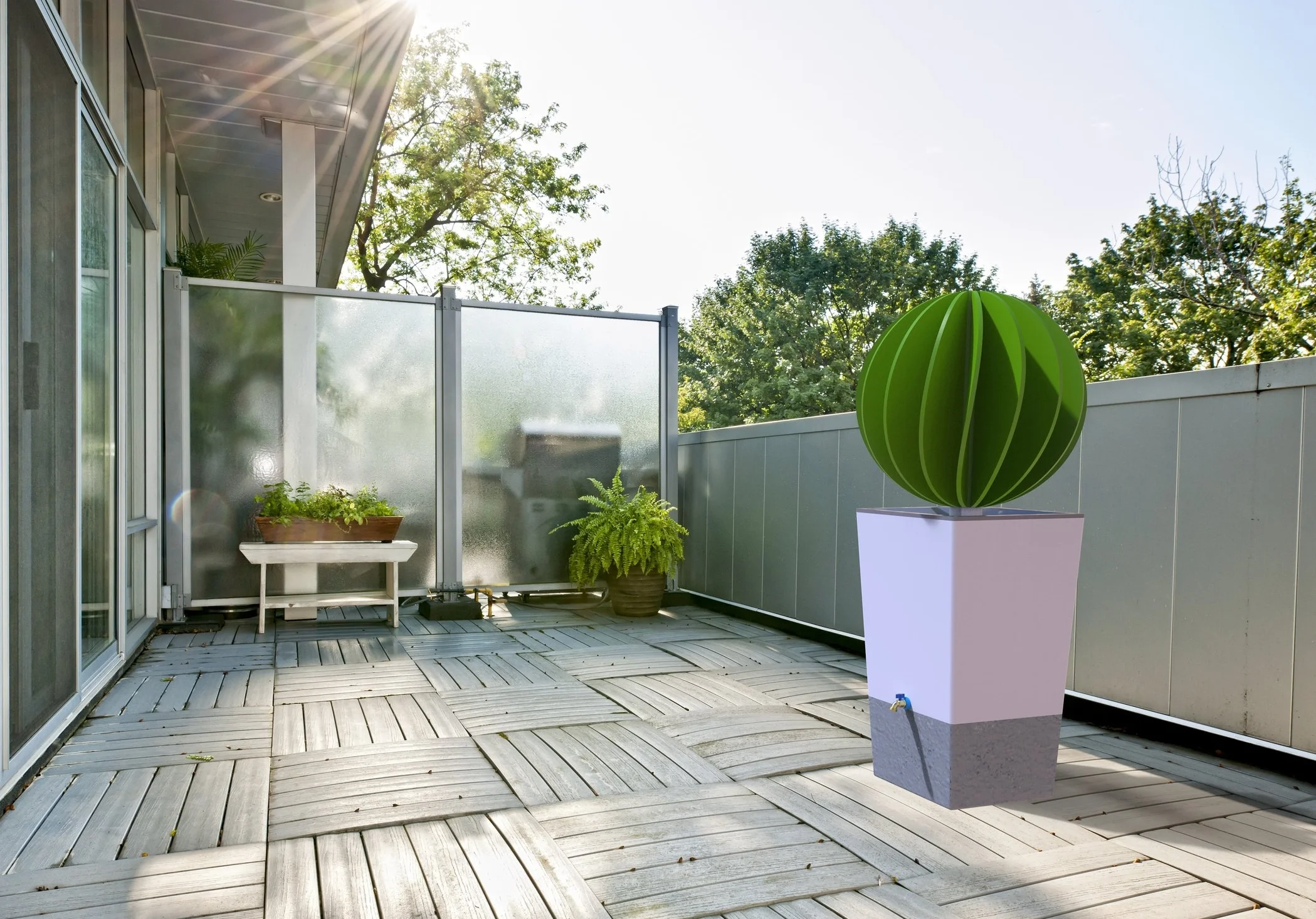 Cactus_balcony.223.jpg