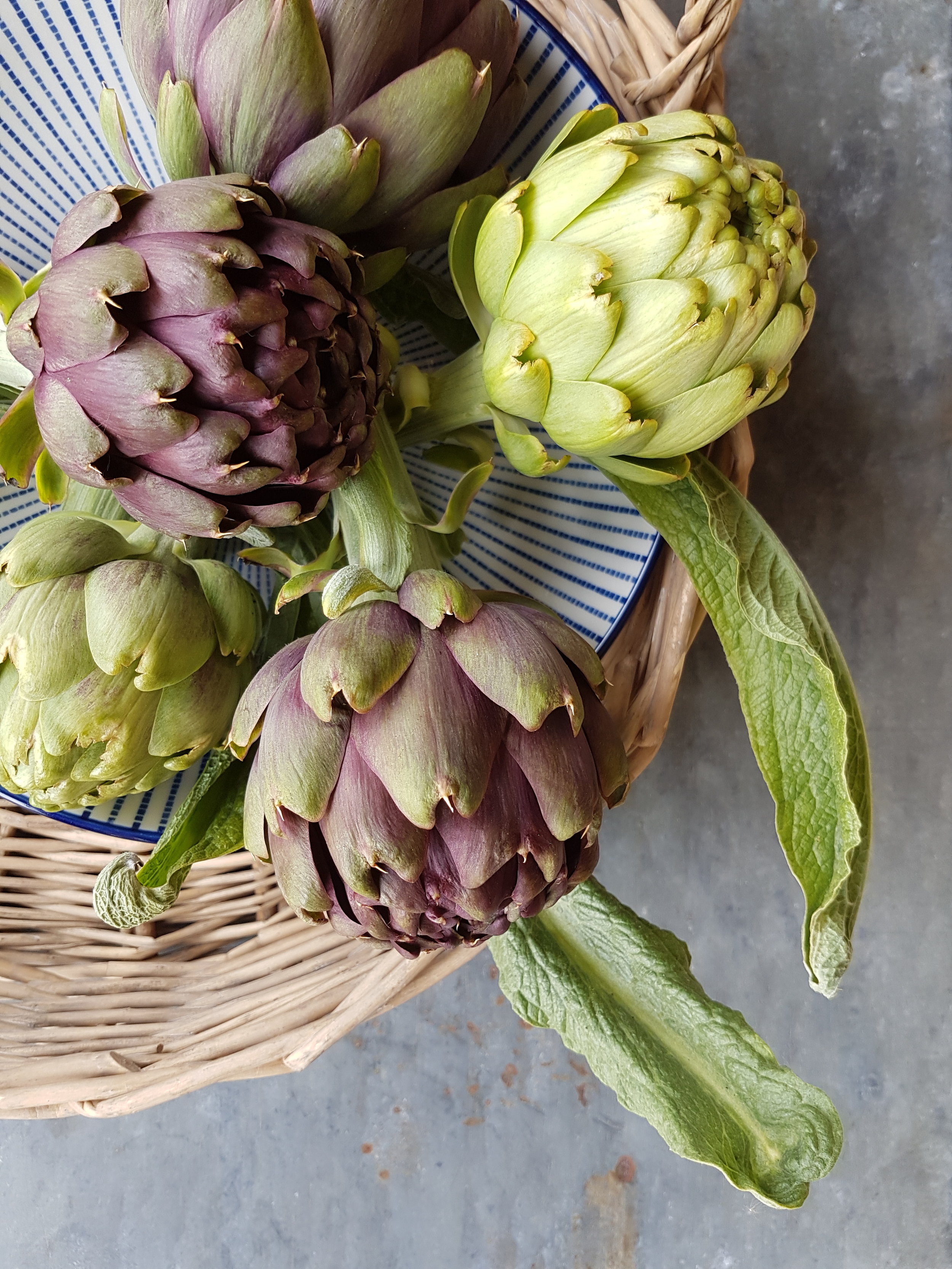The red variety have spikes but are considered tastier.