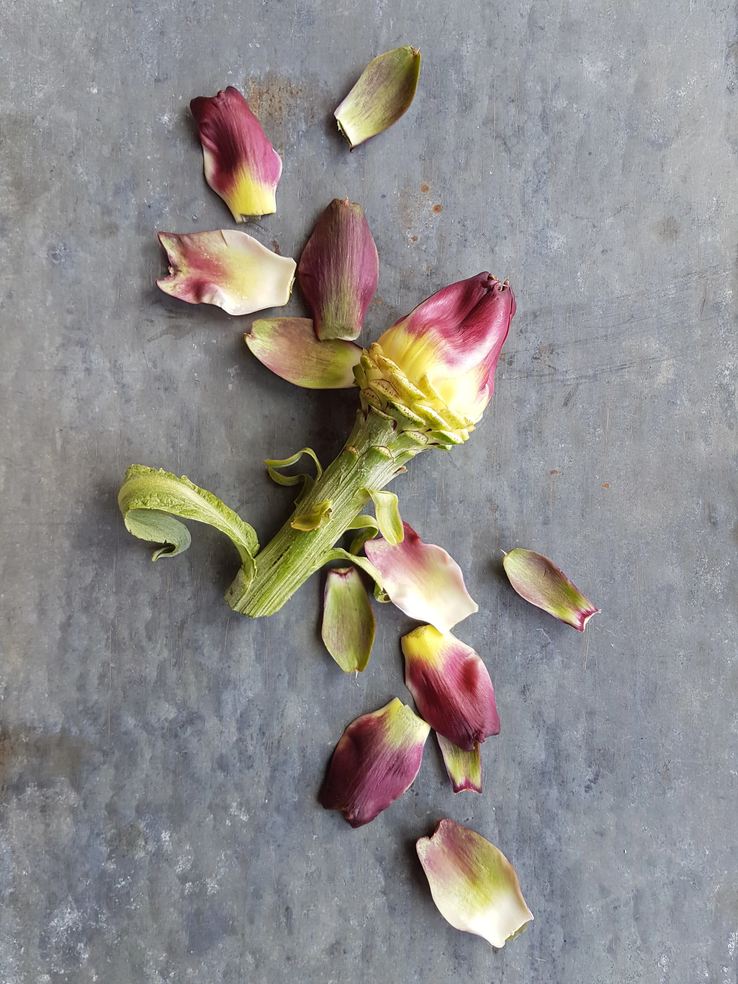 artichoke food style.jpg