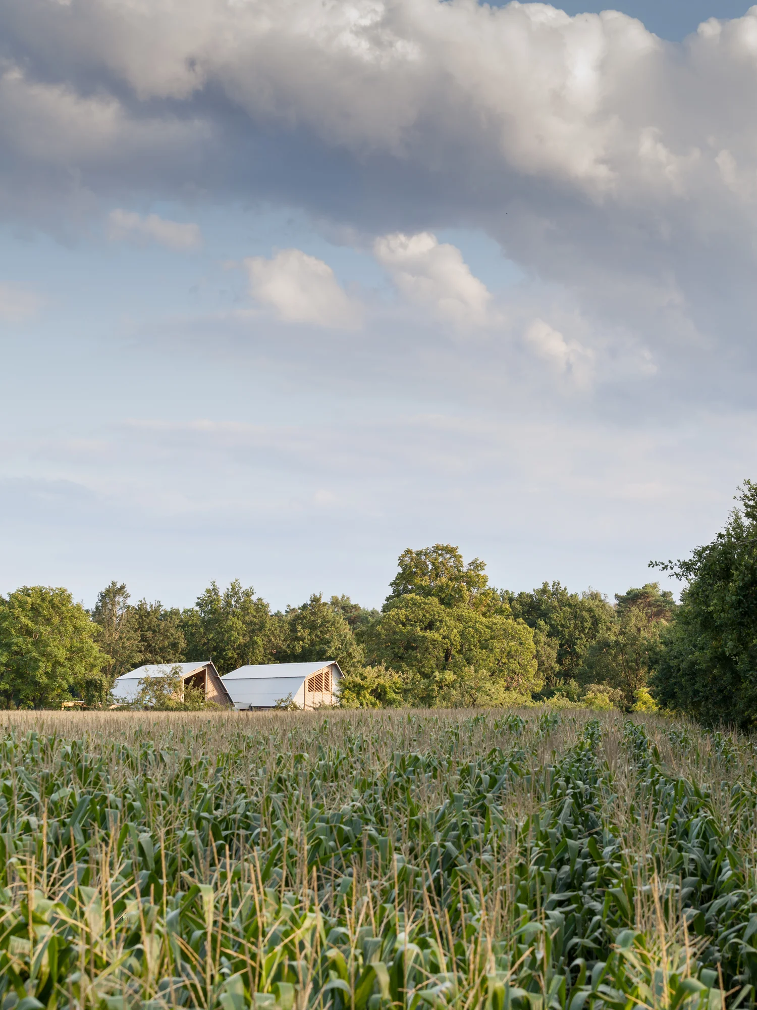 LvS DdK_August 2015_PT_MG_2026.jpg