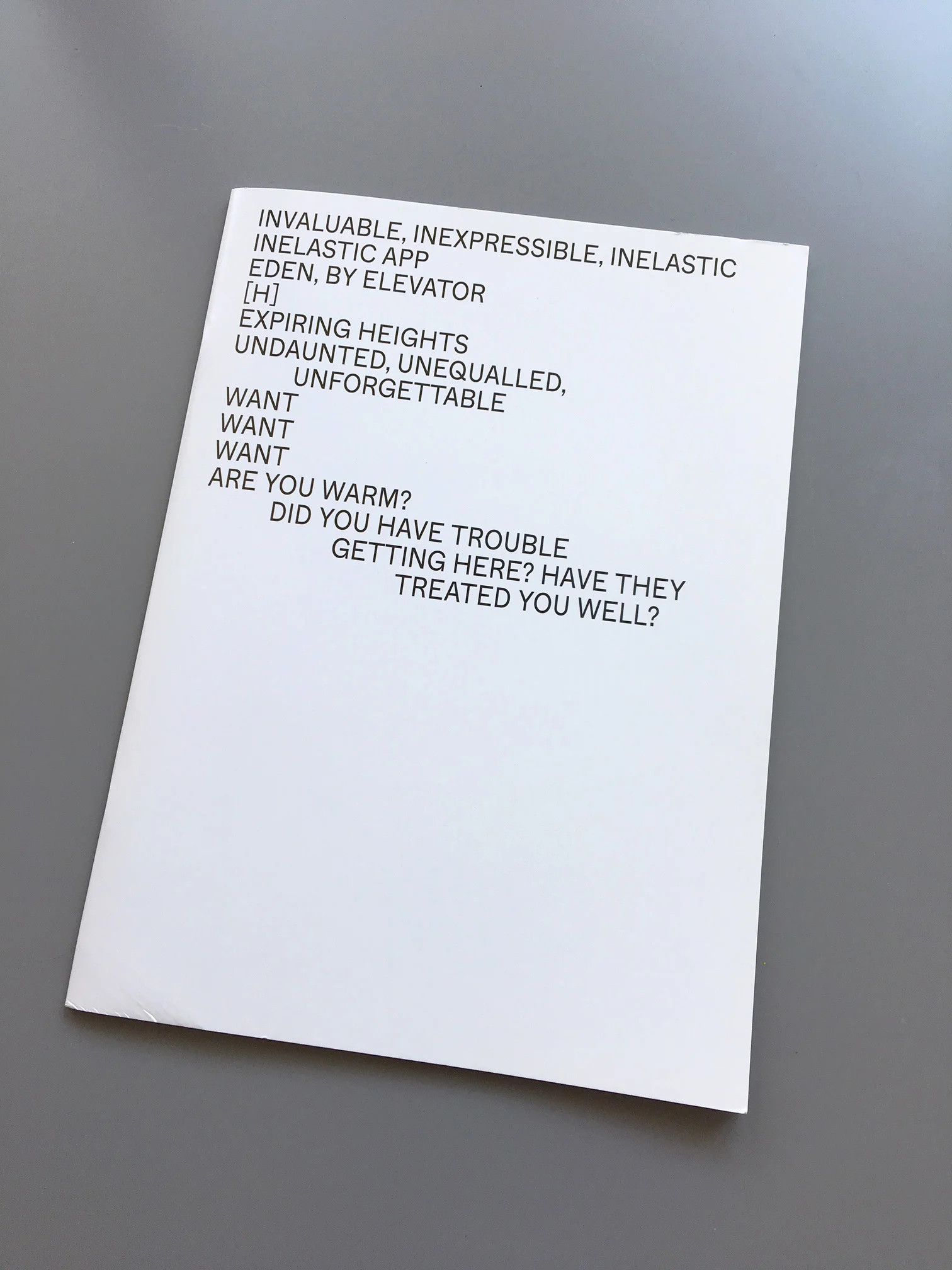  Publication during Christian Friedrich show at Cobra museum 