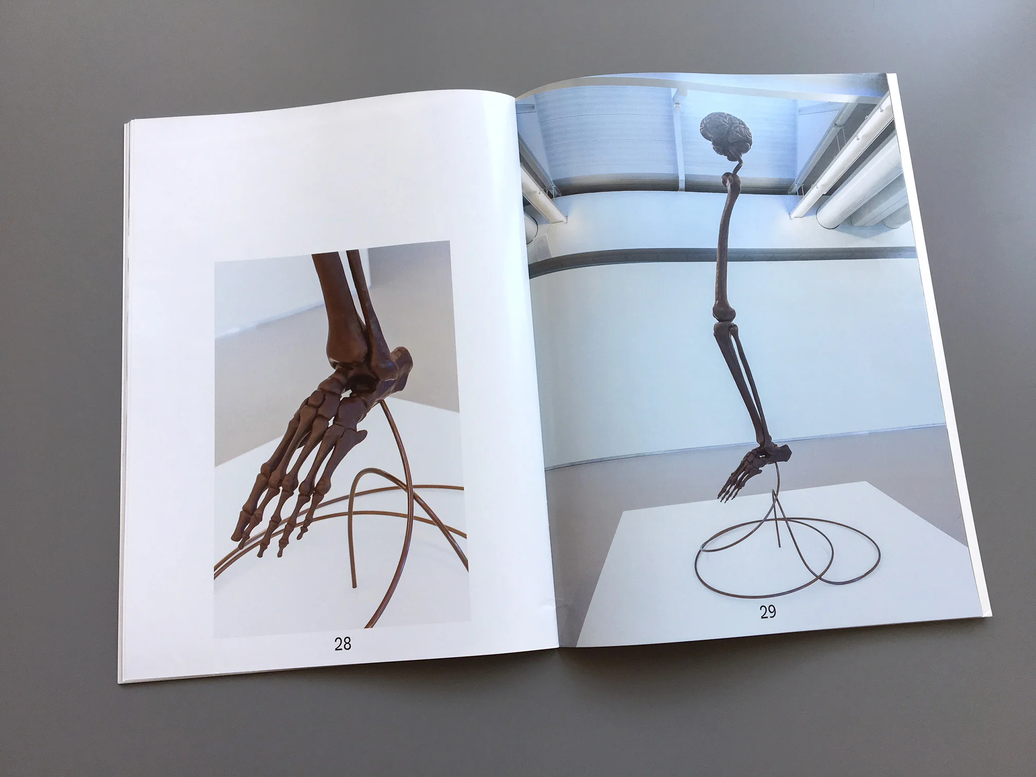  Publication during Christian Friedrich show at Cobra museum 