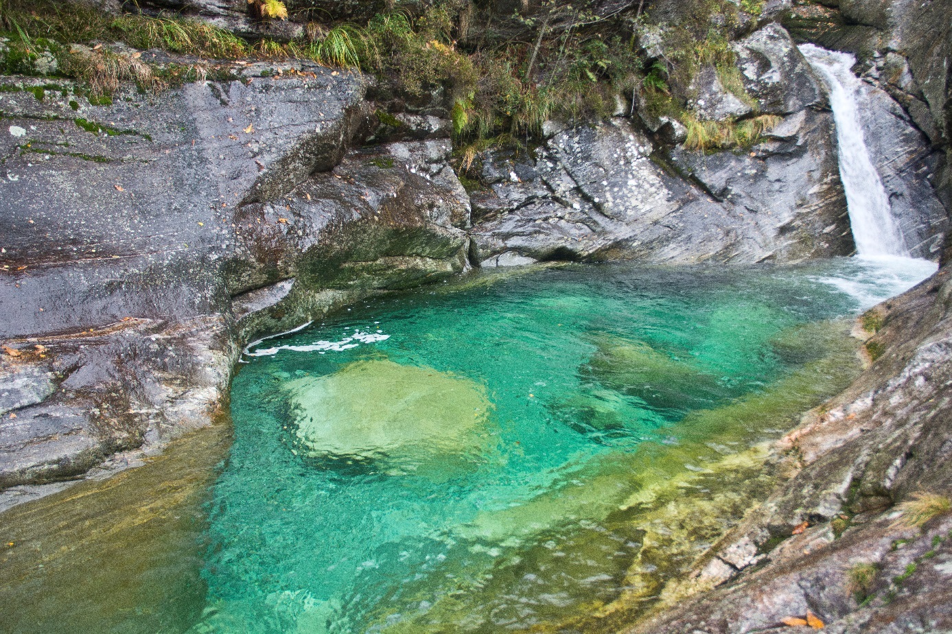 Foto 2. Pozze idilliache lungo il Ri di Tomè. © Raphael Weber / Pro Natura