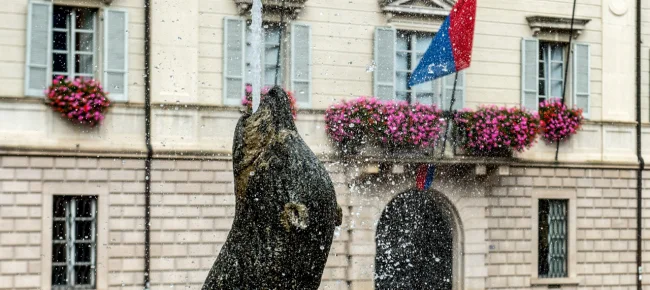 I Verdi sostengono il referendum contro la riforma fiscale
