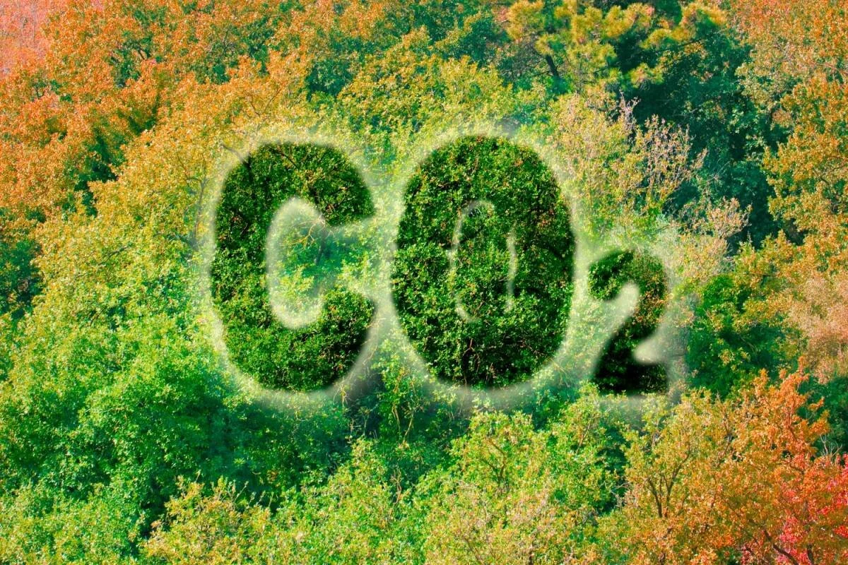 La svolta climatica: una responsabilità sociale