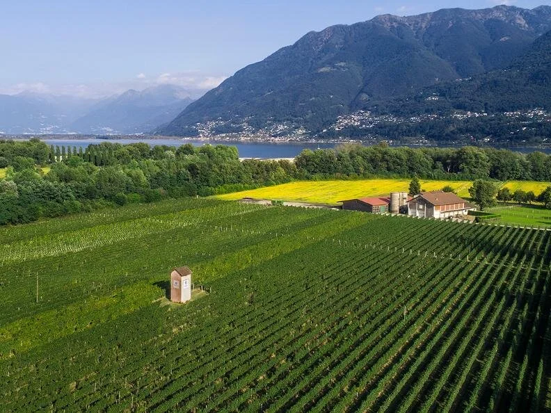 Terreni alla Maggia e modifica zona a destinazione vincolata per contenuti alberghieri: I Verdi invitano i consigli comunali a bocciarla