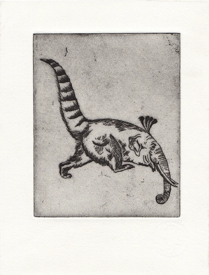 Elecoon