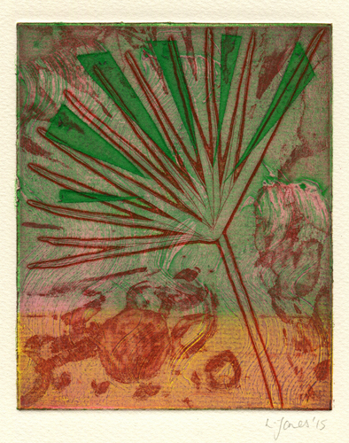 SN 1577.jpg