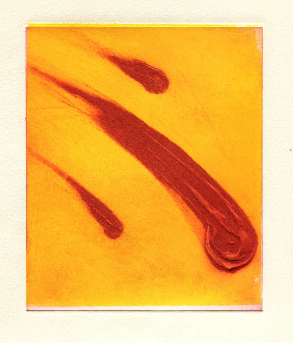 SN 1583.jpg