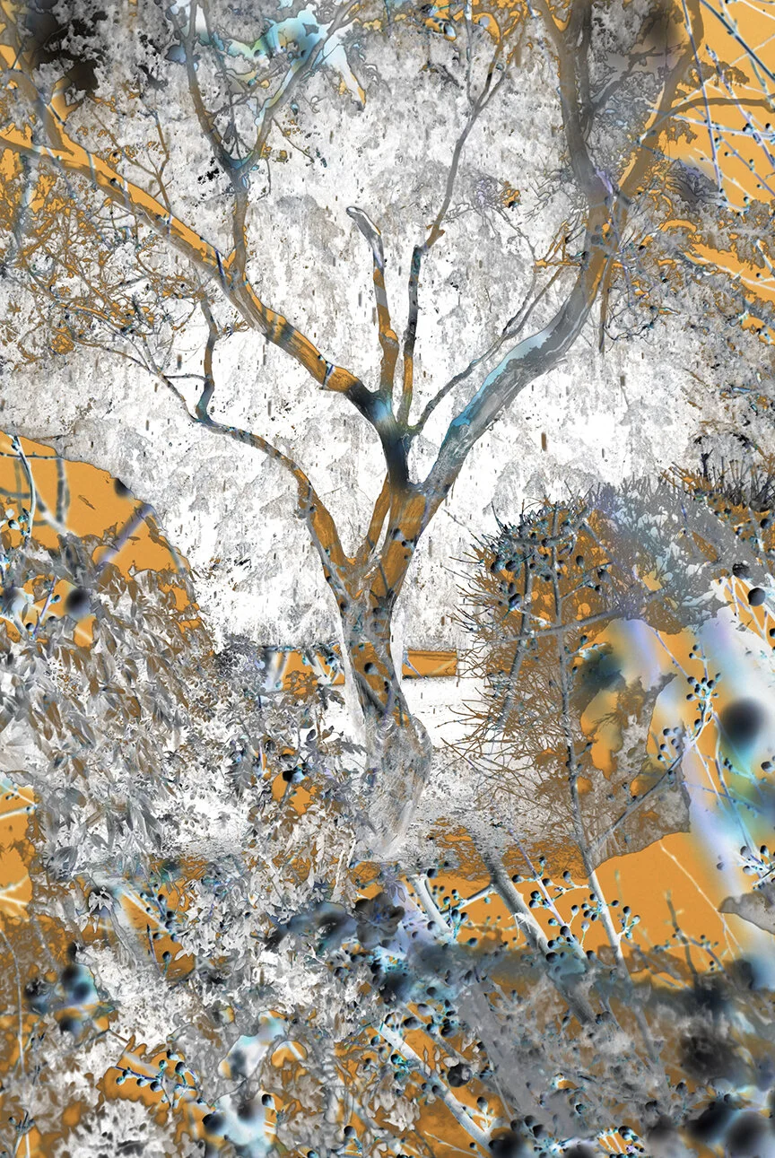 WINTER TREE