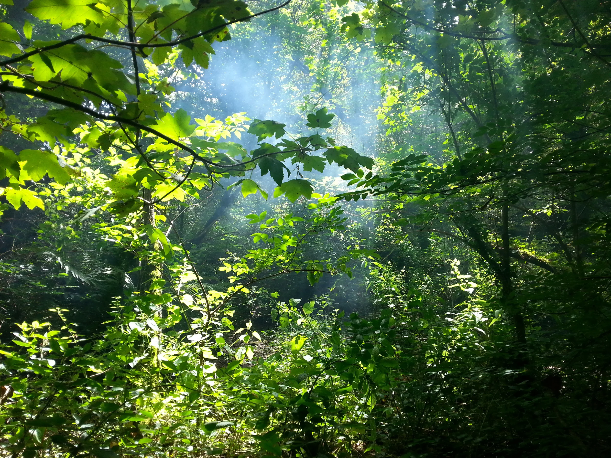 20140813_123312.jpg
